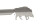 Grillzange Motiv Wildschwein